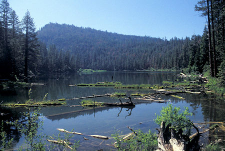Clear Lake, not clear, lots of algae, typical lake turning into a meadow, on west edge of South Warner Wilderness