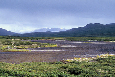 View north from Denali Highway