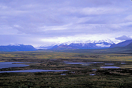 Alaska Range and Maclaren River basin with Maclaren Glacier in distant left from Denali Highway about mile 37