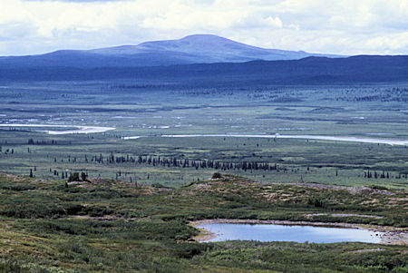 Maclaren River valley from Denali Highway
