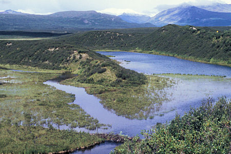 View from Denali Highway