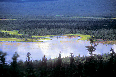Lilly Pond Lakes near Paxson on Richardson Highway