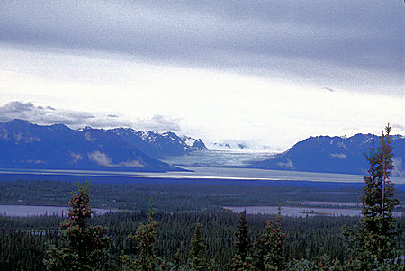 Tazlina Glacier and Lake, Lake Louise Road off Glenn Highway, Alaska