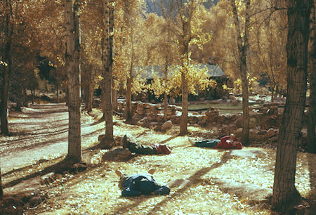 Our group relaxing at Phantom Ranch - Grand Canyon National Park - Dec 1961 Our group relaxing at Phantom Ranch - Grand Canyon National Park - Dec 1961