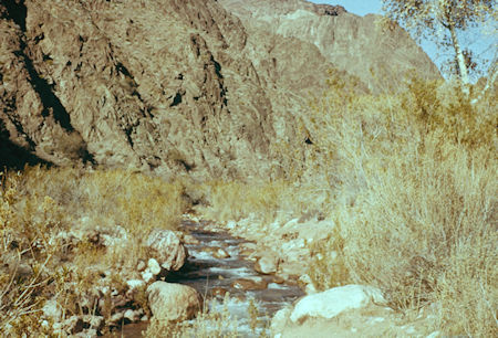 Bright Angel Creek at Phantom Ranch - Grand Canyon National Park - Dec 1961
