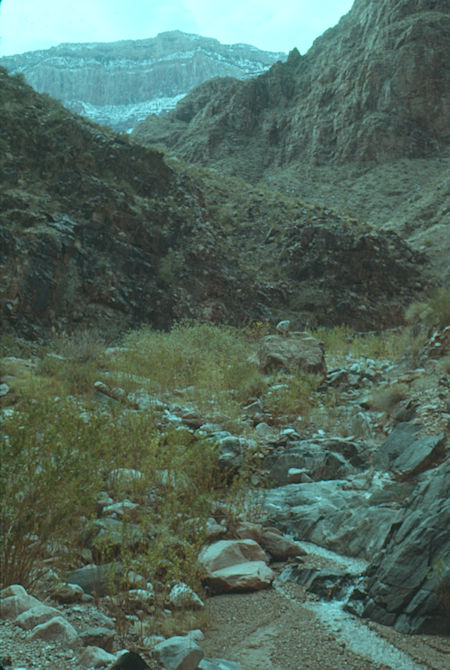 View up Garden Creek to Canyon Rim - Grand Canyon National Park - Jan 1962 View up Garden Creek to Canyon Rim - Grand Canyon National Park - Jan 1962