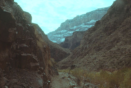Looking up Garden Creek - Grand Canyon National Park - Jan 1962 Looking up Garden Creek - Grand Canyon National Park - Jan 1962