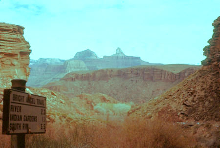 View north from below Indian Garden on Bright Angel Trail - Grand Canyon National Park - Jan 1962