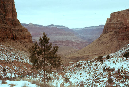 Looking back over Indian Garden on Bright Angel Trail - Grand Canyon National Park - Jan 1962 Looking back over Indian Garden on Bright Angel Trail - Grand Canyon National Park - Jan 1962