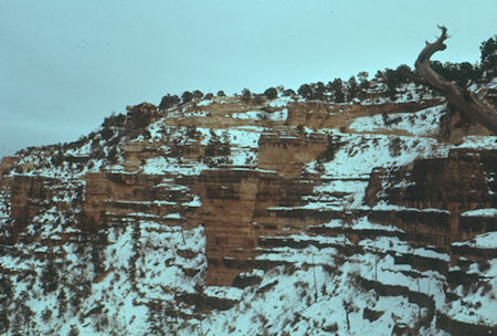Near the end of the Bright Angel Trail near the Kolb Studio - Grand Canyon National Park - Jan 1962 Near the end of the Bright Angel Trail near the Kolb Studio - Grand Canyon National Park - Jan 1962