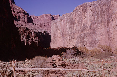 Havasu Canyon from below Havasu Falls - Grand Canyon National Park - Dec 1962