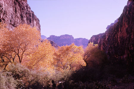 Havasu Canyon - Grand Canyon National Park - Dec 1962