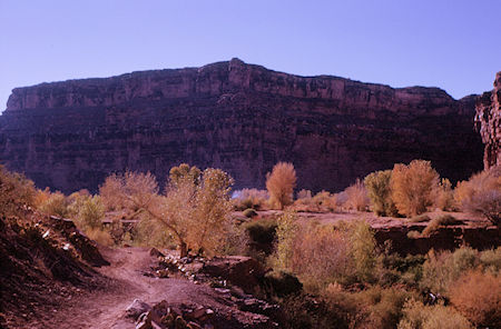 On the trail out to Supai Village - Havasupai Indian Reservation - Dec 1962