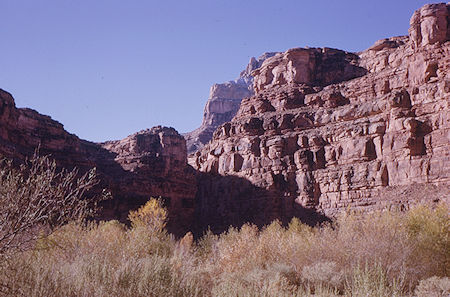 Looking south below Supai Village - Havasupai Indian Reservation - Dec 1962