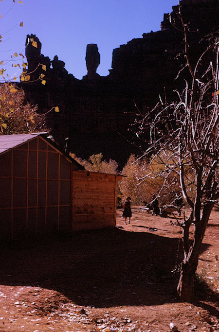 The Guardians over Supai Village - Havasupai Indian Reservation - Dec 1962