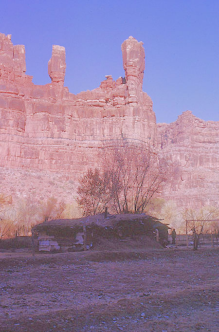 The Guardians over Supai Village - Havasupai Indian Reservation - Dec 1962