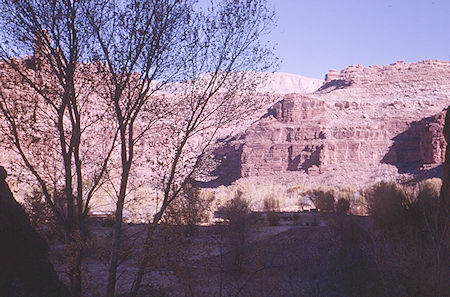 Supai Village - Havasupai Indian Reservation - Dec 1962