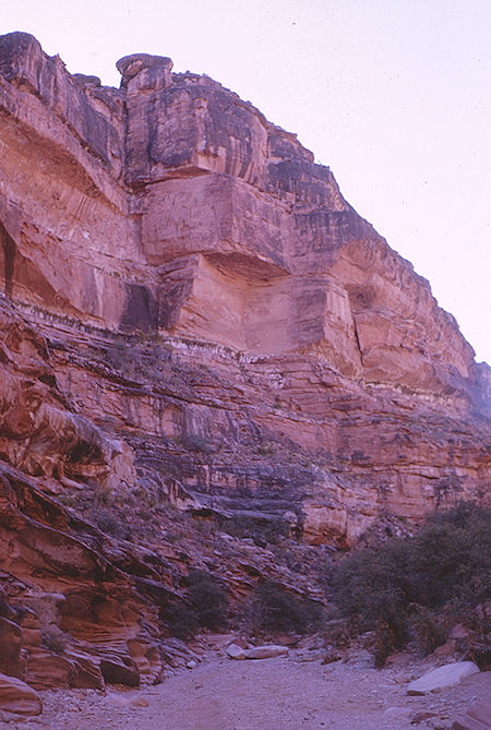 Hualpai Canyon on the way out - Havasupai Indian Reservation - Dec 1962