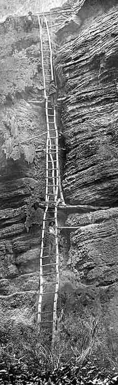 Mining Ladders circa 1905 - by Maude and Bartoo