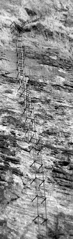 Ladder framwork 1961 - NPS by J. Bailey