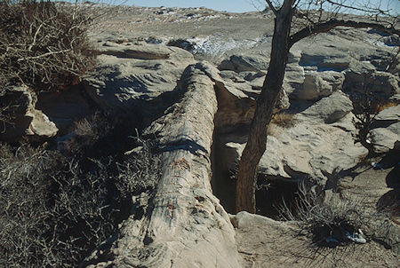 Agate Bridge - Petrified Forest National Park - Nov 1990