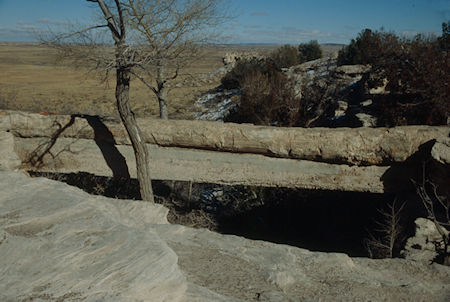 Agate Bridge - Petrified Forest National Park - Nov 1990