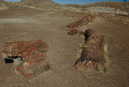 Jasper Forest - Petrified Forest National Park - Nov 1990