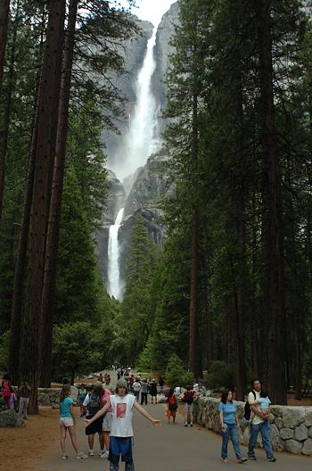 Andrew and Yosemite Falls from trail to Lower Falls