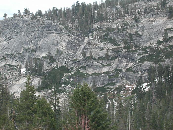 Glacier carved rock along Tioga Pass Road