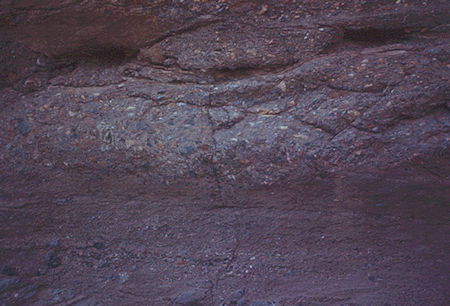 Mosaic Canyon - Death Valley - Jan 1959