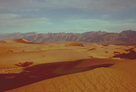 Sand Dunes near Stove Pipe Wells - Death Valley - Jan 1959
