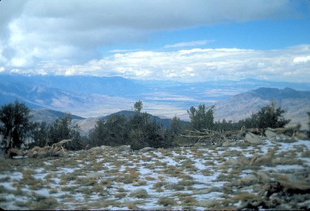 Toward Bishop from Waucoba Mountain Toward Bishop from Waucoba Mountain