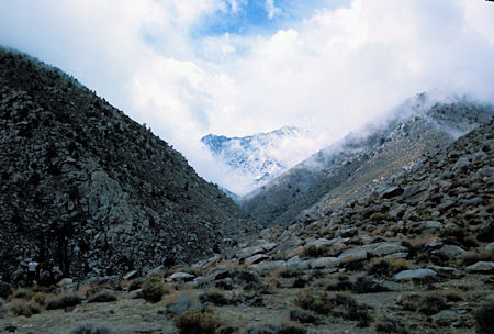 Looking up canyon from near the mine toward the saddle at the head of the canyon