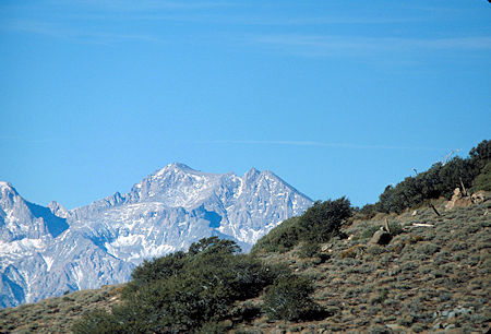 Mt. Williamson (300mm) from Burgess Mine