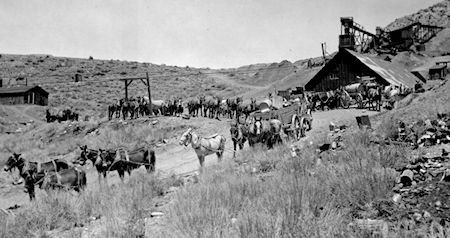 Mules and freight wagons can be seen outside of the original mule barn. Remi Nadeau's teams and drivers were the primary freighters of the silver and trade that went back and forth from Cerro Gordo and Los Angeles (Friends of Cerro Gordo Collection)