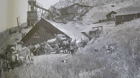 Mule pack train in front of Mule Barn