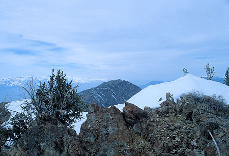Mount Inyo from Keynot Peak