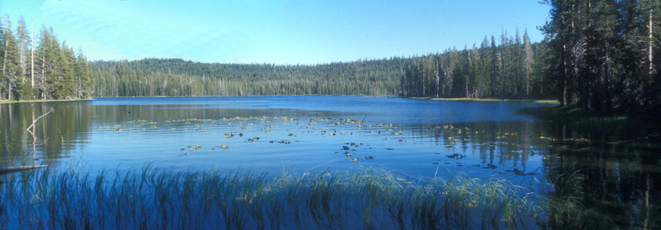 Horseshoe Lake Horseshoe Lake
