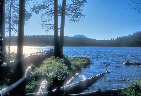 Horseshoe Lake Horseshoe Lake