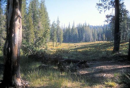 Meadow between Horseshoe Lake and Snag Lake Meadow between Horseshoe Lake and Snag Lake