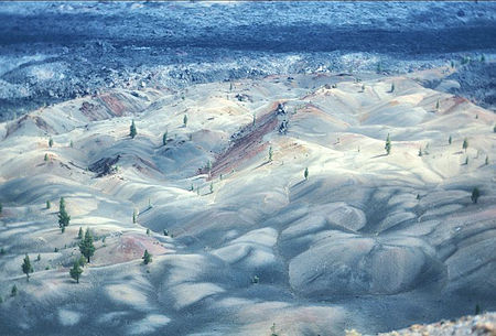 Painted Dunes from Cinder Cone Painted Dunes from Cinder Cone