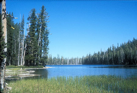 Unnamed lake in the Cluster Lakes Unnamed lake in the Cluster Lakes
