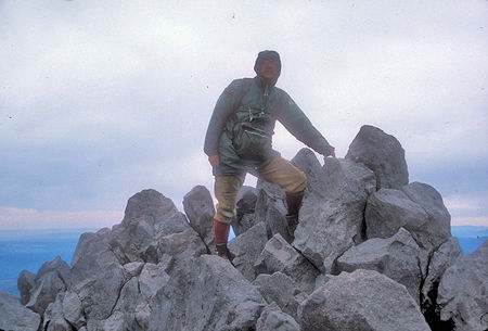 Mountain Mouse on top of Lassen Peak Mountain Mouse on top of Lassen Peak