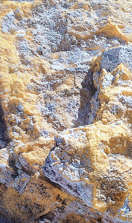 Sulfur Link Sulfur Link