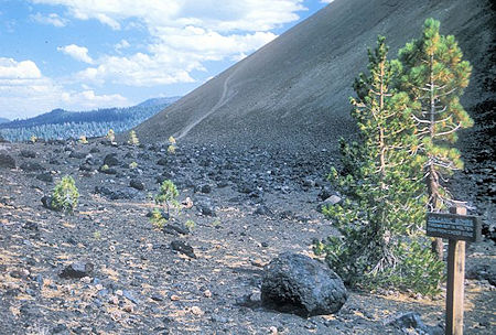 Volcanic Bombs at Cinder Cone