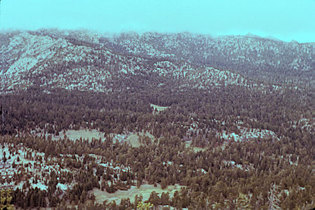 From Tahquitz Ridge - Little Tahquitz Valley - Tahquitz and Skunk Cabbage Meadows 4-25-59 From Tahquitz Ridge - Little Tahquitz Valley - Tahquitz and Skunk Cabbage Meadows 4-25-59