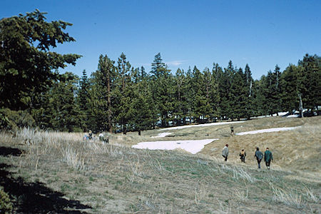 Hiking out on Explorer Post 360 Coed hike - 5-16-64