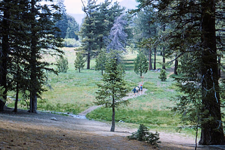 Hiking out on Tahquitz Peak Explorer Post 360 Coed trip - 6-19-65