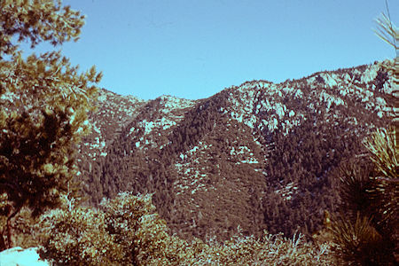Saddle from Suicide Rock - 12-30-60 Saddle from Suicide Rock - 12-30-60