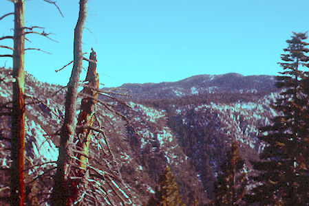 Saddle from  Strawberry trail on San Jacinto Peak trail - 1-8-61